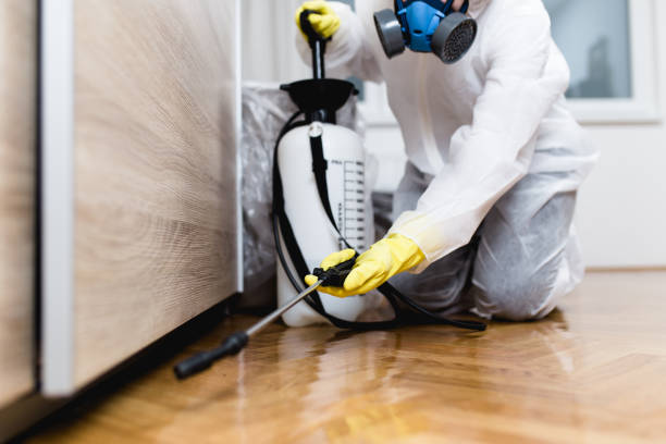 Best Pest Removal Services  in Pinedale, WY