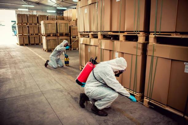 Reliable Pinedale, WY Pest Control Solutions