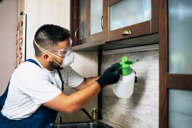 Best Best Pest Control Companies  in Pinedale, WY