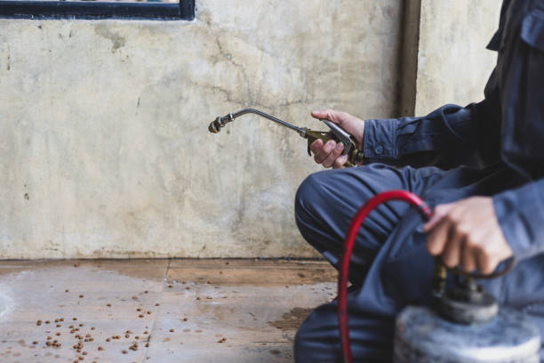 Best Affordable Pest Control Services  in Pinedale, WY