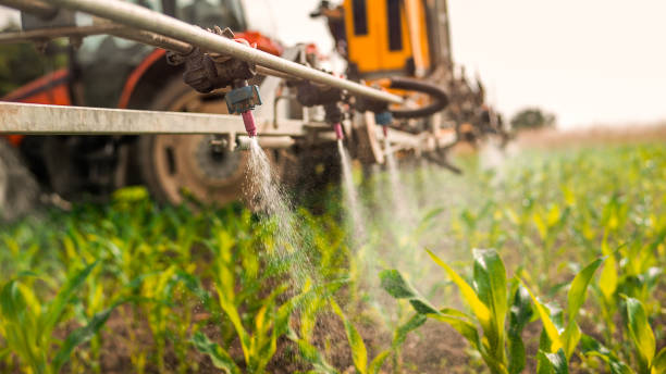 Best Mosquito Control Services  in Pinedale, WY